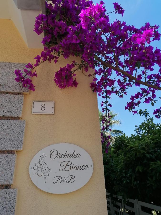 Orchidea Bianca B&B Fasano Extérieur photo